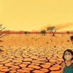 Distrito Federal: A Pior Seca em 20 Anos e Seus Impactos