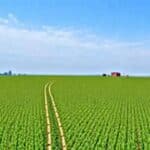 5 Razões que Provam Que a Terra Não é Plana