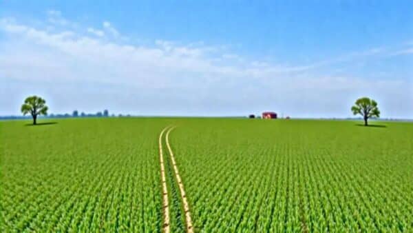 5 Razões que Provam Que a Terra Não é Plana