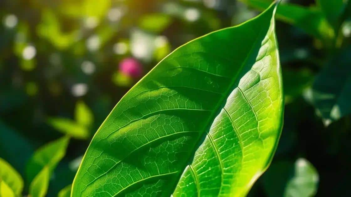 Fundo Petrobras de Bioeconomia: R$ 100 milhões em projetos