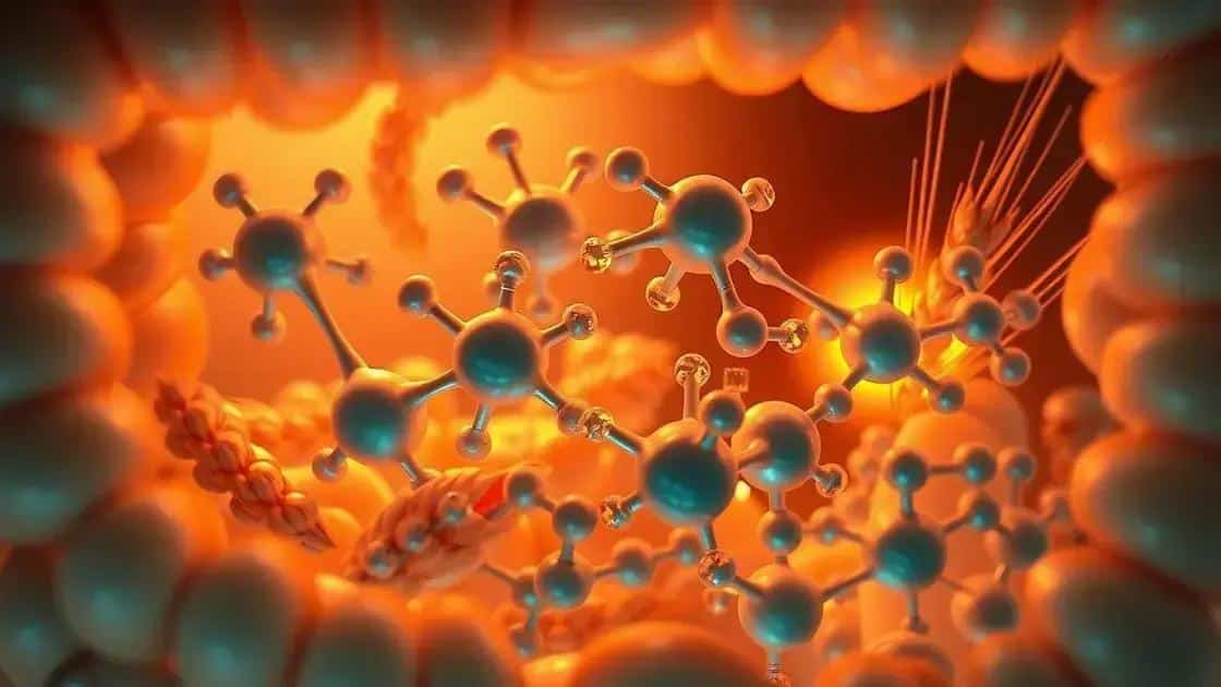 Amilase e seus efeitos na digestão: como esses inibidores afetam sua saúde