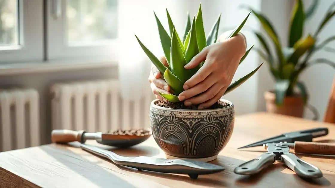 Cuidados essenciais para manter sua babosa saudável Cuidados essenciais para manter sua babosa saudável