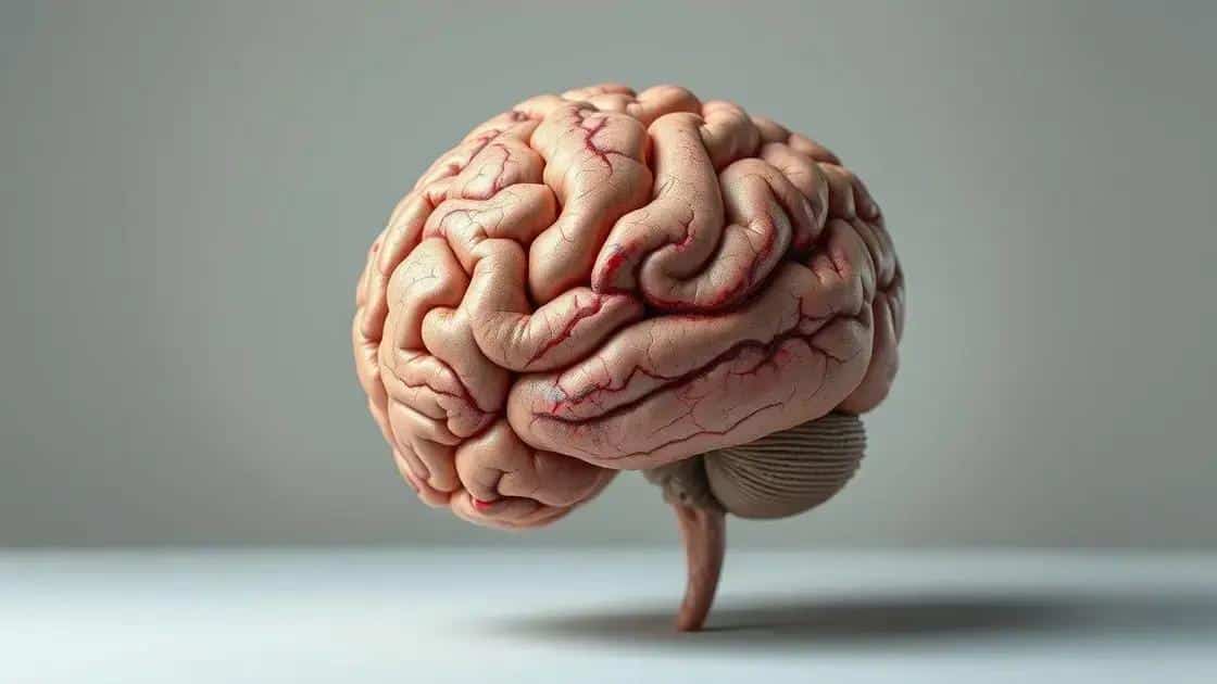 Envelhecimento cerebral: como a diferença de idade afeta a memória e o raciocínio