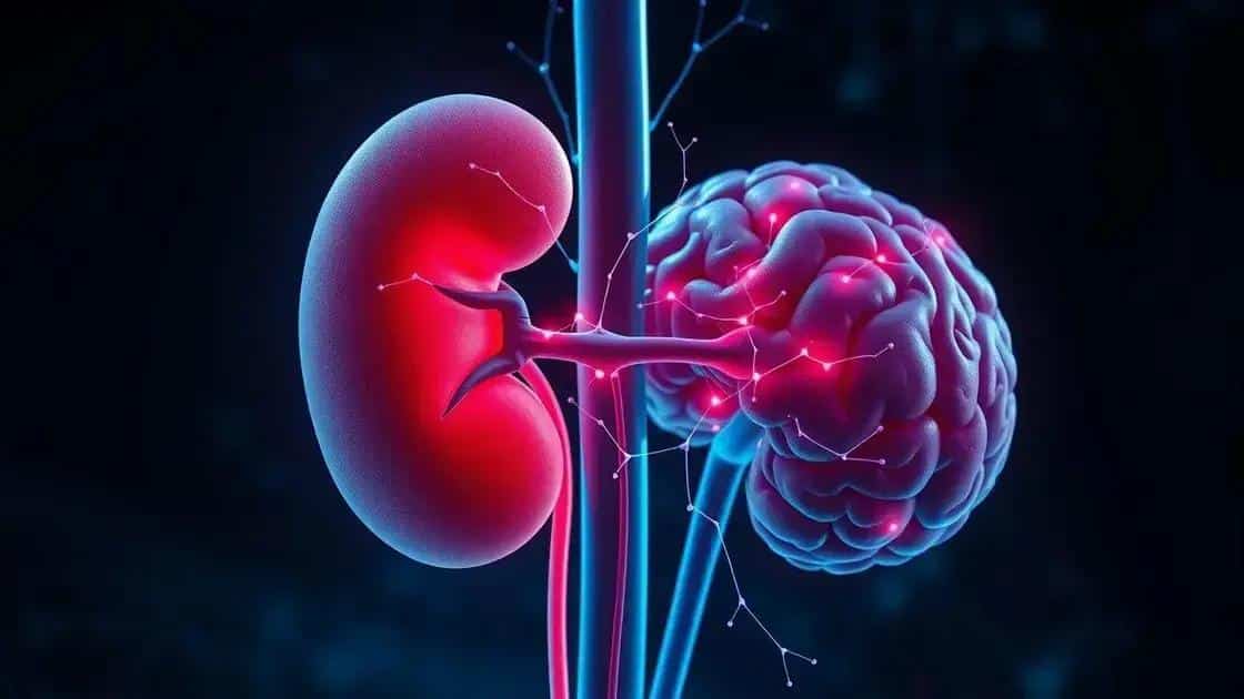 Estudo revela que Parkinson pode começar nos rins, não no cérebro