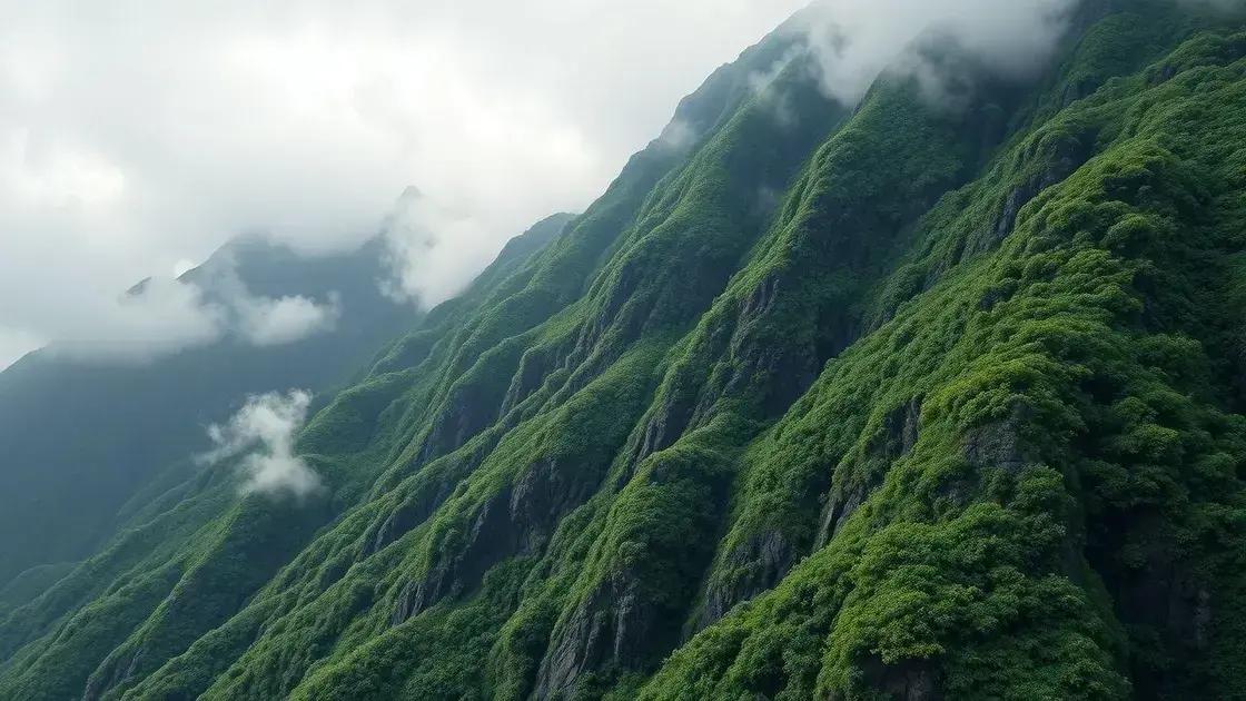 Juliana desapareceu durante escalada em vulcão Juliana desapareceu durante escalada em vulcão