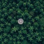 MPF e SpaceX bloqueiam internet Starlink de garimpeiros ilegais na Amazônia