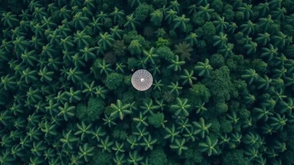 MPF e SpaceX bloqueiam internet Starlink de garimpeiros ilegais na Amazônia