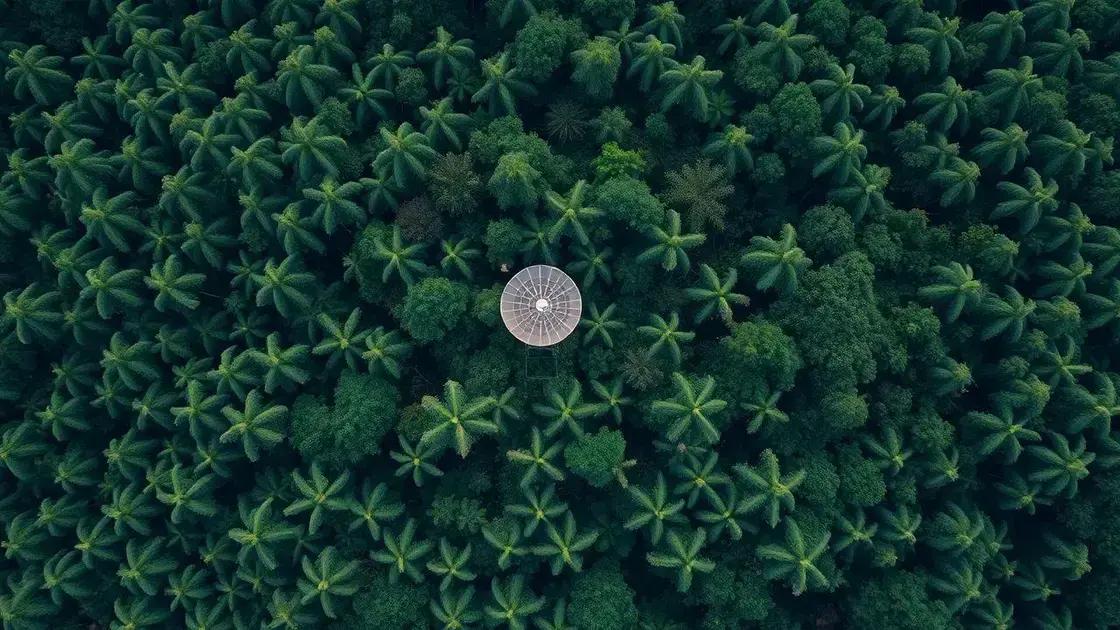 MPF e SpaceX bloqueiam internet Starlink de garimpeiros ilegais na Amazônia