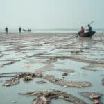 População ribeirinha em Alagoas apresenta contaminação por mercúrio acima da média