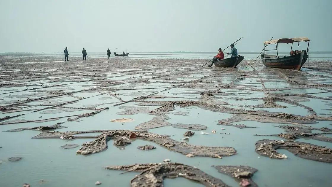 População ribeirinha em Alagoas apresenta contaminação por mercúrio acima da média