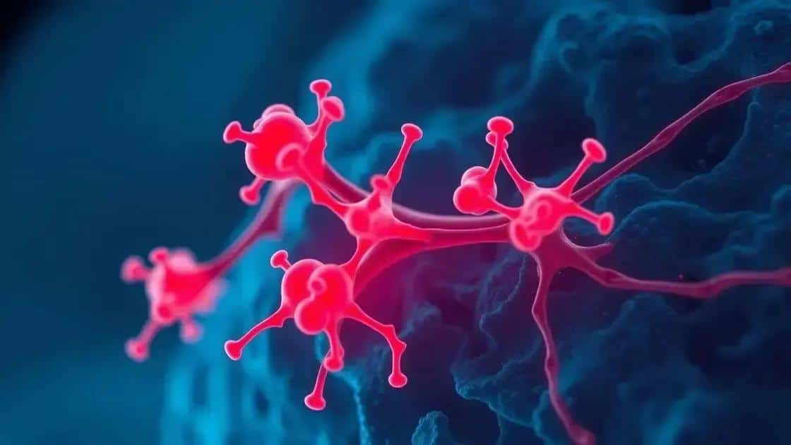 Receptores Inibidores: Os Freios do Corpo que Mantêm o Equilíbrio