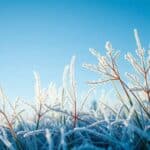 Temperaturas baixas continuam no Sul e Sudeste, mas calor volta na semana
