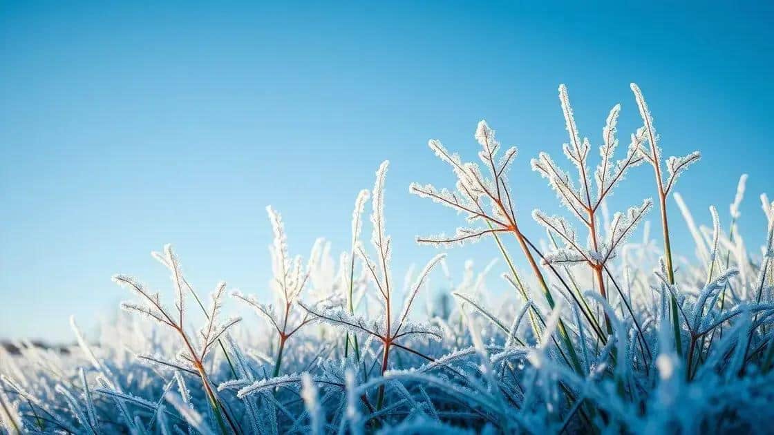 Temperaturas baixas continuam no Sul e Sudeste, mas calor volta na semana