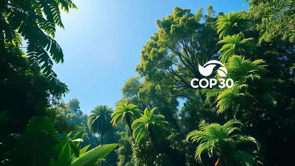 A importância da COP30 e as ações do Brasil