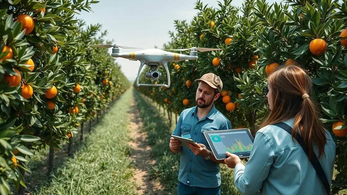 Metodologia inovadora para medir a biomassa