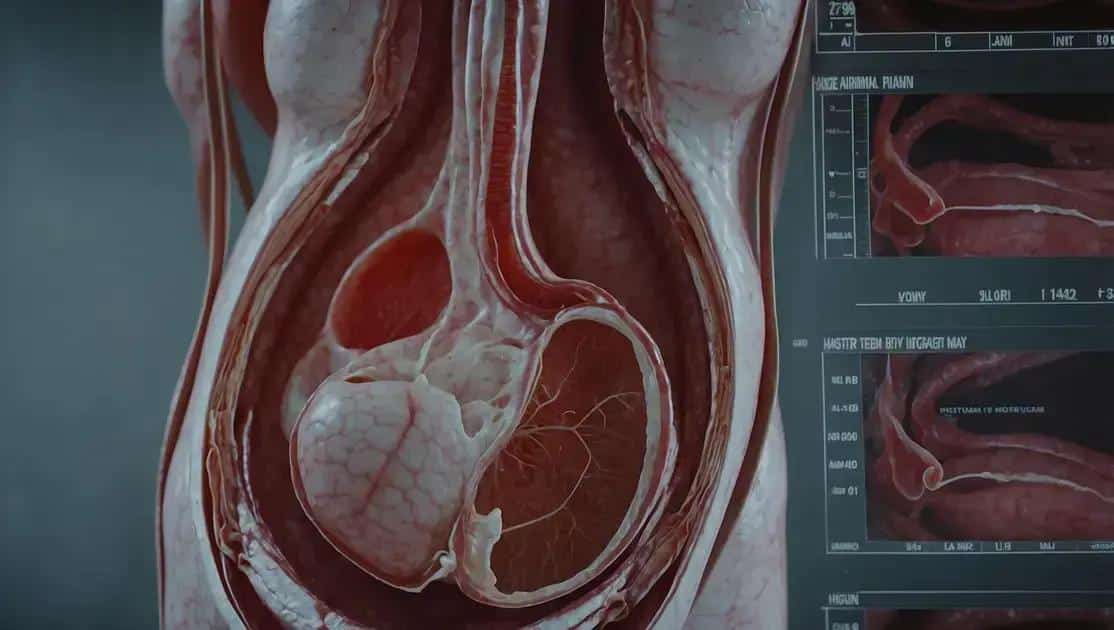 O que você precisa saber sobre a insuficiência placentária na gravidez