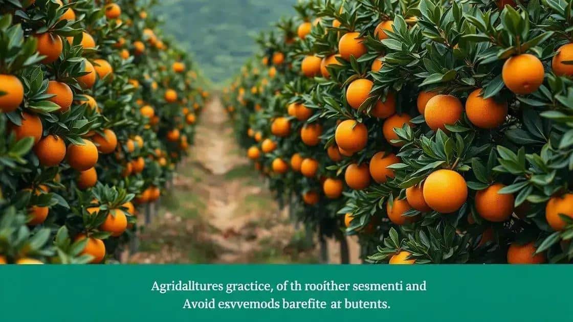 Os laranjais brasileiros: Cofres de carbono em meio às mudanças climáticas