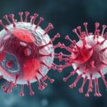 Reconhecimento celular: como as células se identificam e sua importância para a saúde