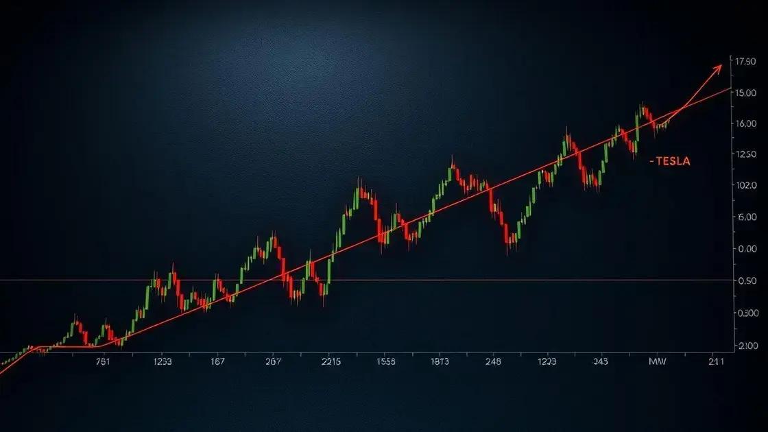 Tesla cai 8% após orçamento de Trump passar no Senado