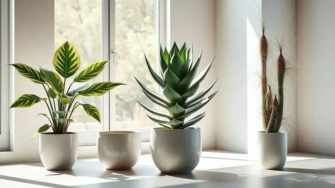3 Plantas Quase Imortais para Decorar Sua Casa com Pouca Manutenção