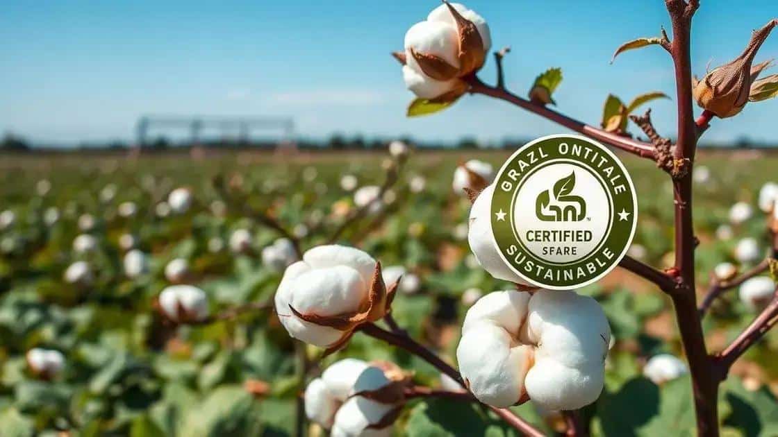 A importância da certificação e práticas sustentáveis no algodão brasileiro A importância da certificação e práticas sustentáveis no algodão brasileiro
