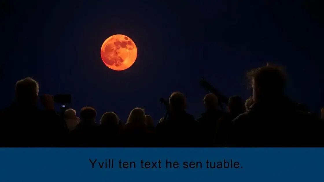 Como e onde assistir ao evento ao vivo