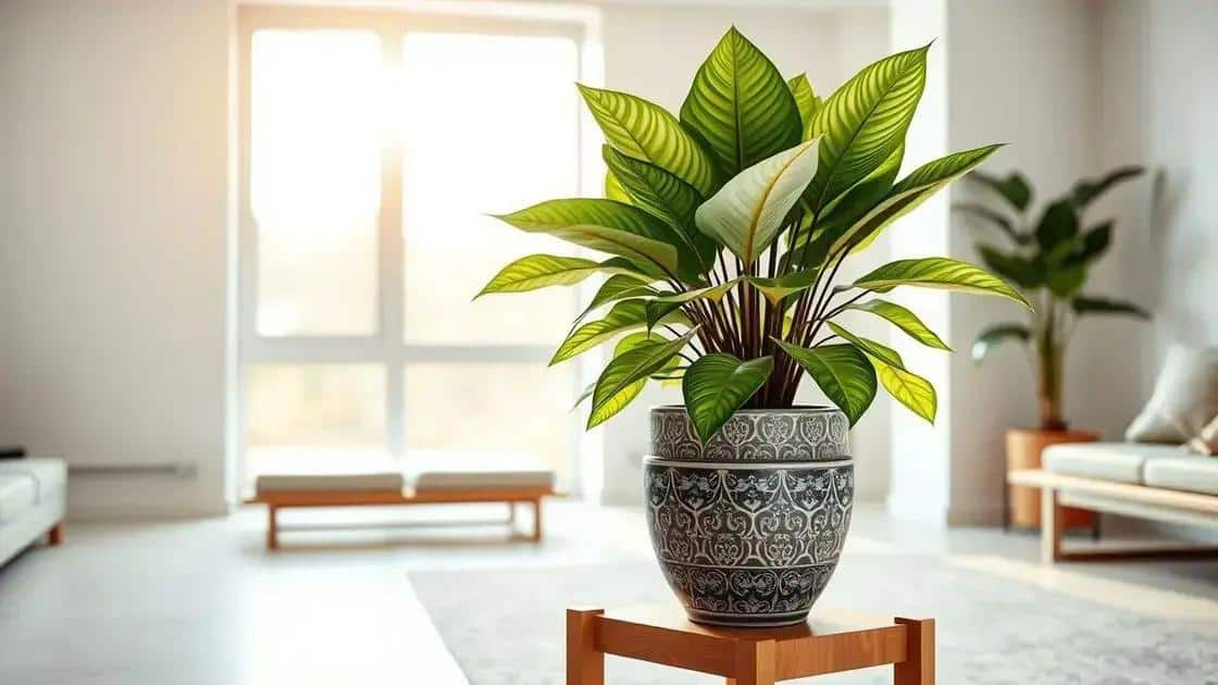 Conheça a Dieffenbachia, a compatível com ambientes internos Conheça a Dieffenbachia, a compatível com ambientes internos