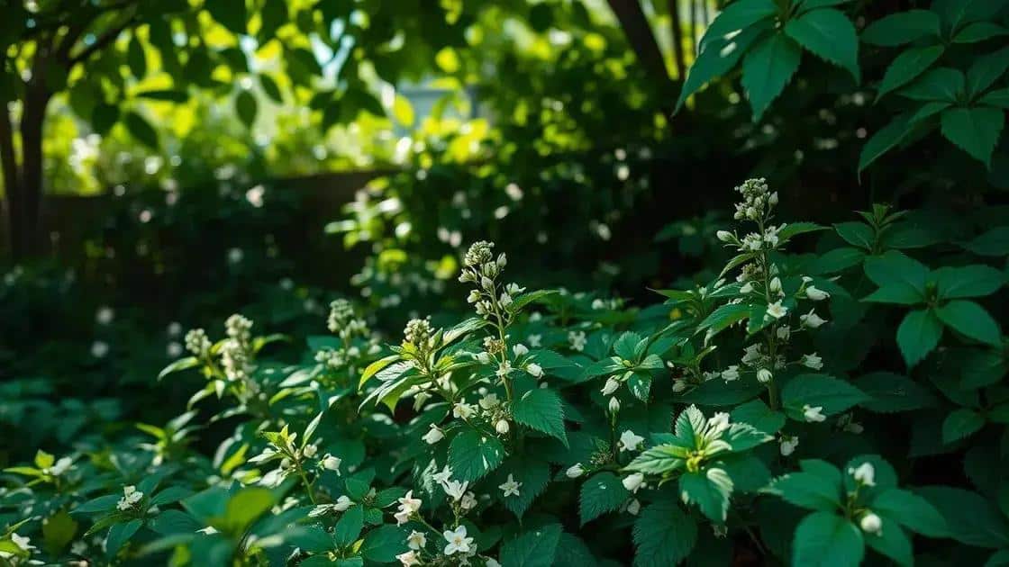 Guia Essencial para Cultivar Deadnettle com Sucesso e Mantê-lo Saudável
