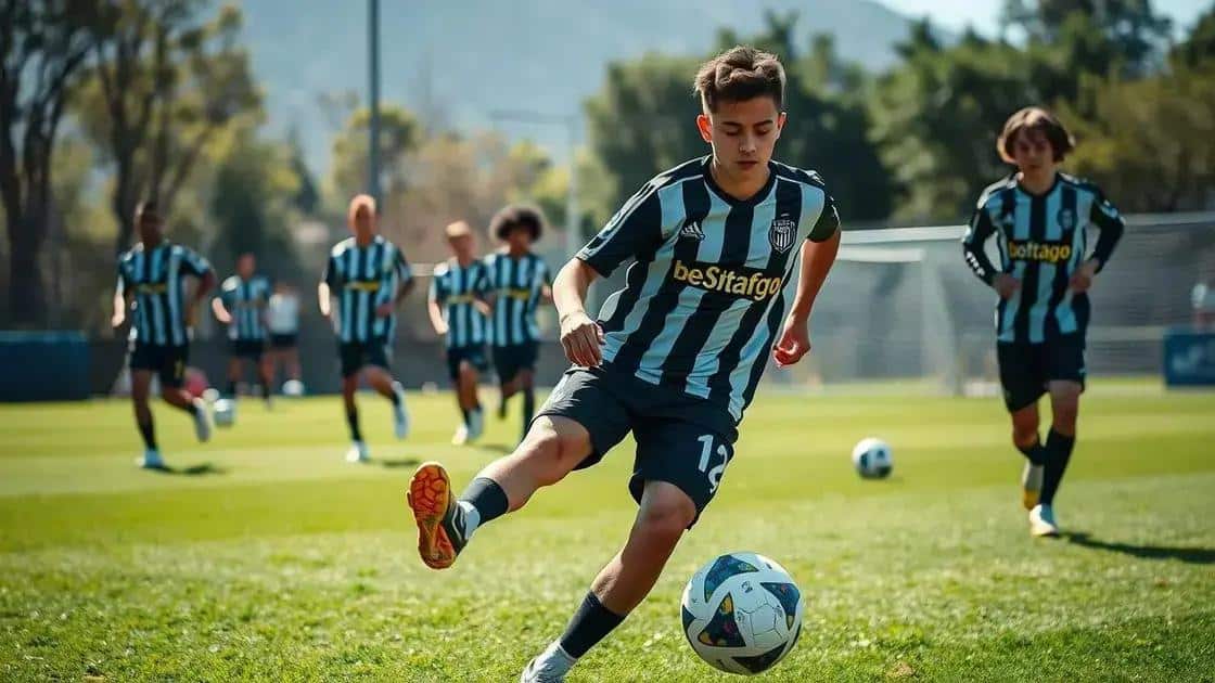 Histórico do atleta nas categorias de base do Botafogo