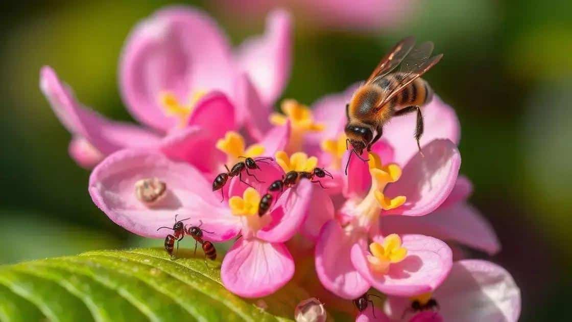 Impacto das formigas na reprodução das plantas