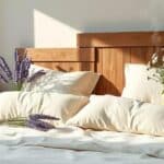 Plantas que Melhoram o Sono Dentro de Casa com Aromaterapia e Bem-estar