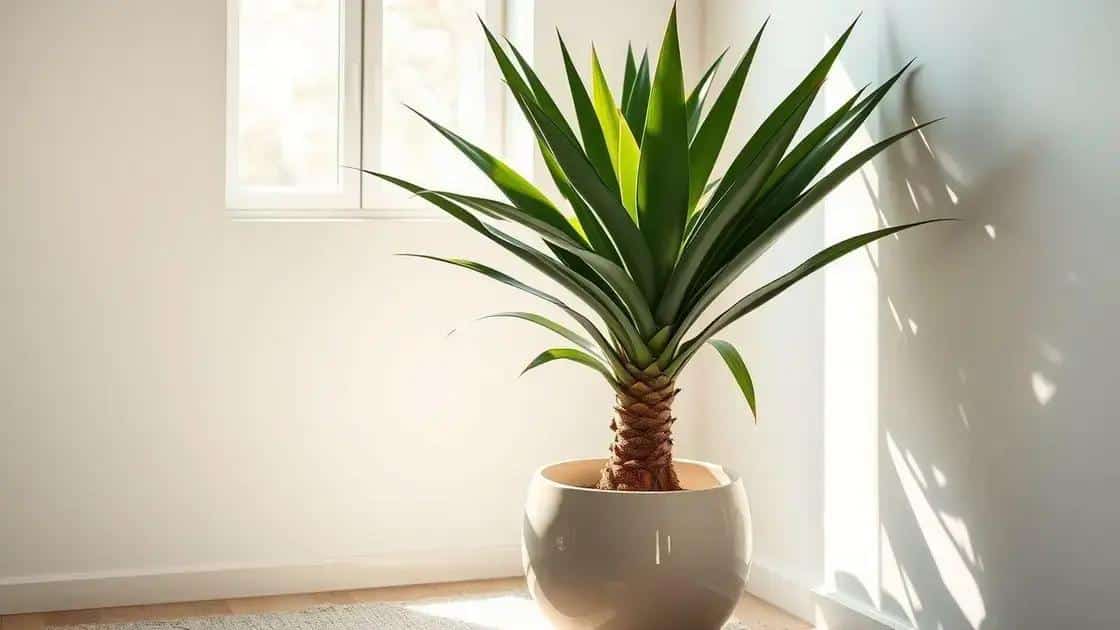 Yucca, a planta espada que não exige cuidados complicados Yucca, a planta espada que não exige cuidados complicados