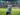 Coutinho brilha no Vasco: 11 gols em 2025 e chance na seleção