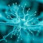 Cyborgs em foco: neurônio artificial de baixo consumo aproxima-se da realidade