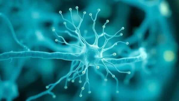 Cyborgs em foco: neurônio artificial de baixo consumo aproxima-se da realidade