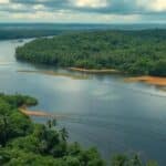 Poluição por plásticos na Amazônia ganha impulso com estudo reformulado