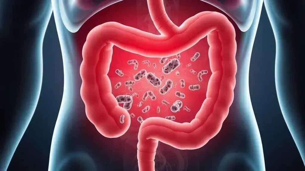 Principais causas, fatores de risco e relação com Helicobacter pylori