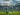 Palmeiras vence Juventude 4 a 1 com Veiga em destaque no Allianz Parque
