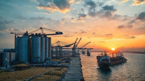 Brasil deve exportar 4,26 milhões de toneladas de soja em novembro, aponta Anec