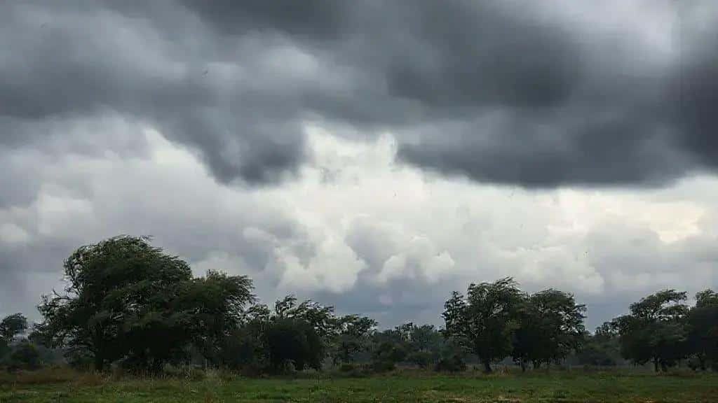 Condição climática: vendaval quase 100 km/h